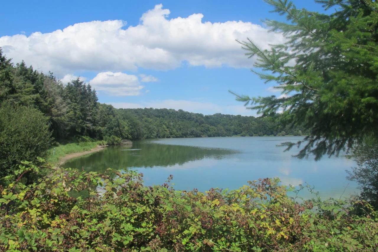 Saint-Julien-des-Landes Le Contrevent 빌라 외부 사진